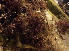 -虹桥国际机场-2号航站楼停车场