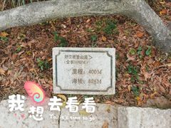 -梧桐山风景名胜区