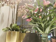 -峨嵋一派