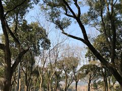 -慈城古县城景区