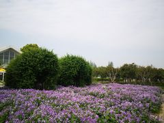 -上海杨姆庄园