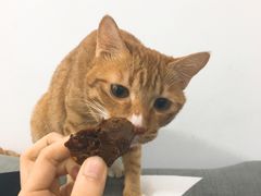 -周黑鸭(宝安中心店)