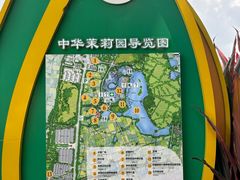 -中华茉莉园