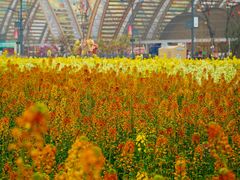 -中国天府农业博览园