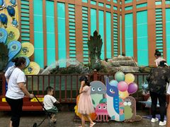 -西双版纳原始森林公园