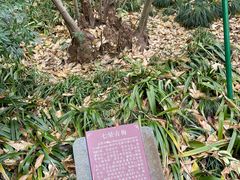 -杭州植物园