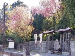 -天龙八部武侠城