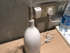 -麗枫酒店(西安大明宫龙首原地铁站店)