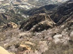 -北京凤凰岭