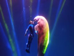 -芜湖新华联大白鲸海洋公园