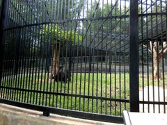 -广东茂名森林公园