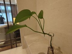 -无锡梁鸿湿地丽笙度假酒店·流觞西餐厅