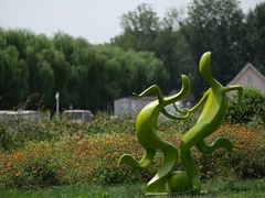 -天津武清北运河郊野公园房车露营地