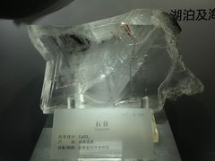 -湖南省地质博物馆