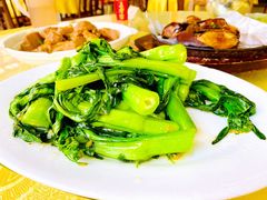 蒜茸炒菜心-鹿福农庄(南沙天后宫店)