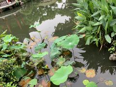 -杭州西湖柳莺里酒店·闻莺厅