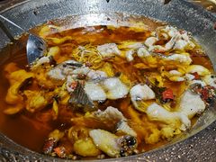 -雲蜀龙阁·金牌水煮鱼(方庄店)