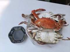-枸杞岛