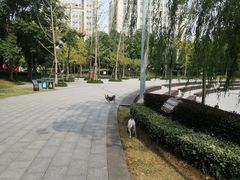 -南翔镇银翔湖公园
