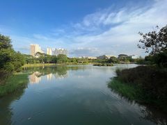 -福田红树林生态公园
