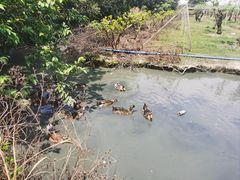 -新塘水果乐园(东洲大道店)