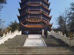 -铁山坪森林公园