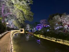 -SPA·印象足道养生(大运河度假区四望亭店)