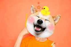 -INKIDS潮童社儿童摄影(朝阳大悦城店)