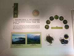 -中国茶叶博物馆(双峰馆区)