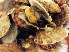 iphone_upload_pic-浩运·海鲜青岛菜·海胆水饺(石老人店)