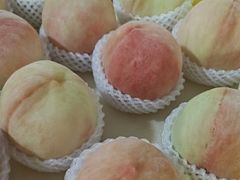 -老袁家蜜桃农场·阳山水蜜桃