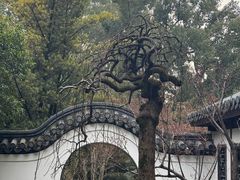 -汇龙潭