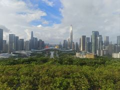 -莲花山公园