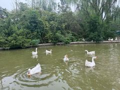 -洛阳市隋唐城遗址植物园