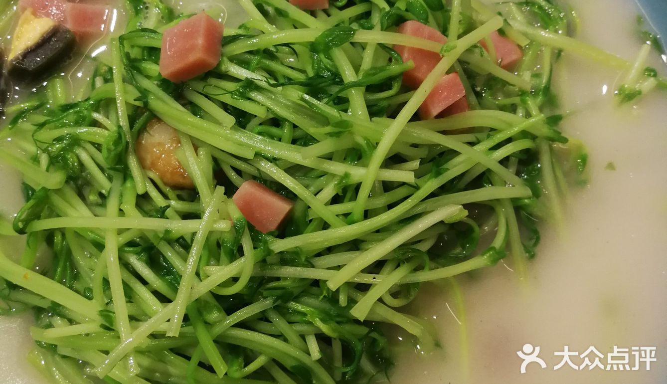 首次南粤鹏城的单人美食攻略