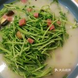 首次南粤鹏城的单人美食攻略