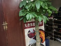 -裕和堂中医推拿艾灸(太古汇臻品店)