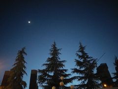 -八亩沟擀面皮(西安首店)