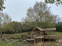 -扬州市茱萸湾风景区