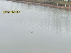 -狼山风景名胜区