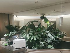 -枕水江南(铁西万象汇店)