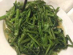 -越海渔村