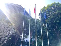 -酌宴府The China Club·广州万富希尔顿酒店(云城东路店)