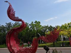 -武清南湖绿博园