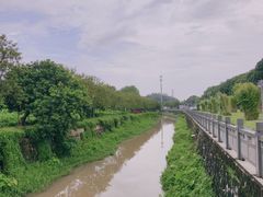 -长洲岛