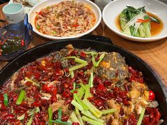 -老板恋上鱼(高新万达店)