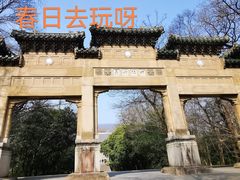 -灵谷景区