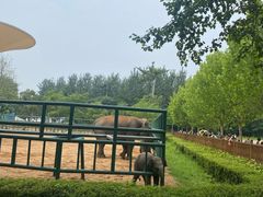 -秦皇岛野生动物园