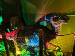 -恐龙探索乐园(磁器口店)