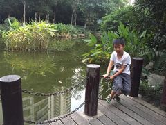 -新湖明珠城